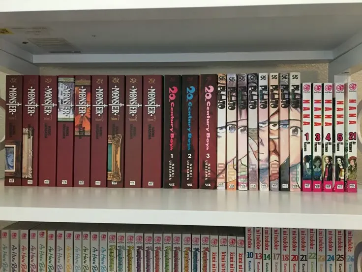 Mall Bookstore Core: The Shoujo Series That Raised a Whole Generation of American Romantics
